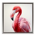 thumbnail image 1 of Stupell Industries Transitional Traditional Flamingo Portrait Gray Floating Frame Canvas Art, 25 x 25, by RB, 1 of 8