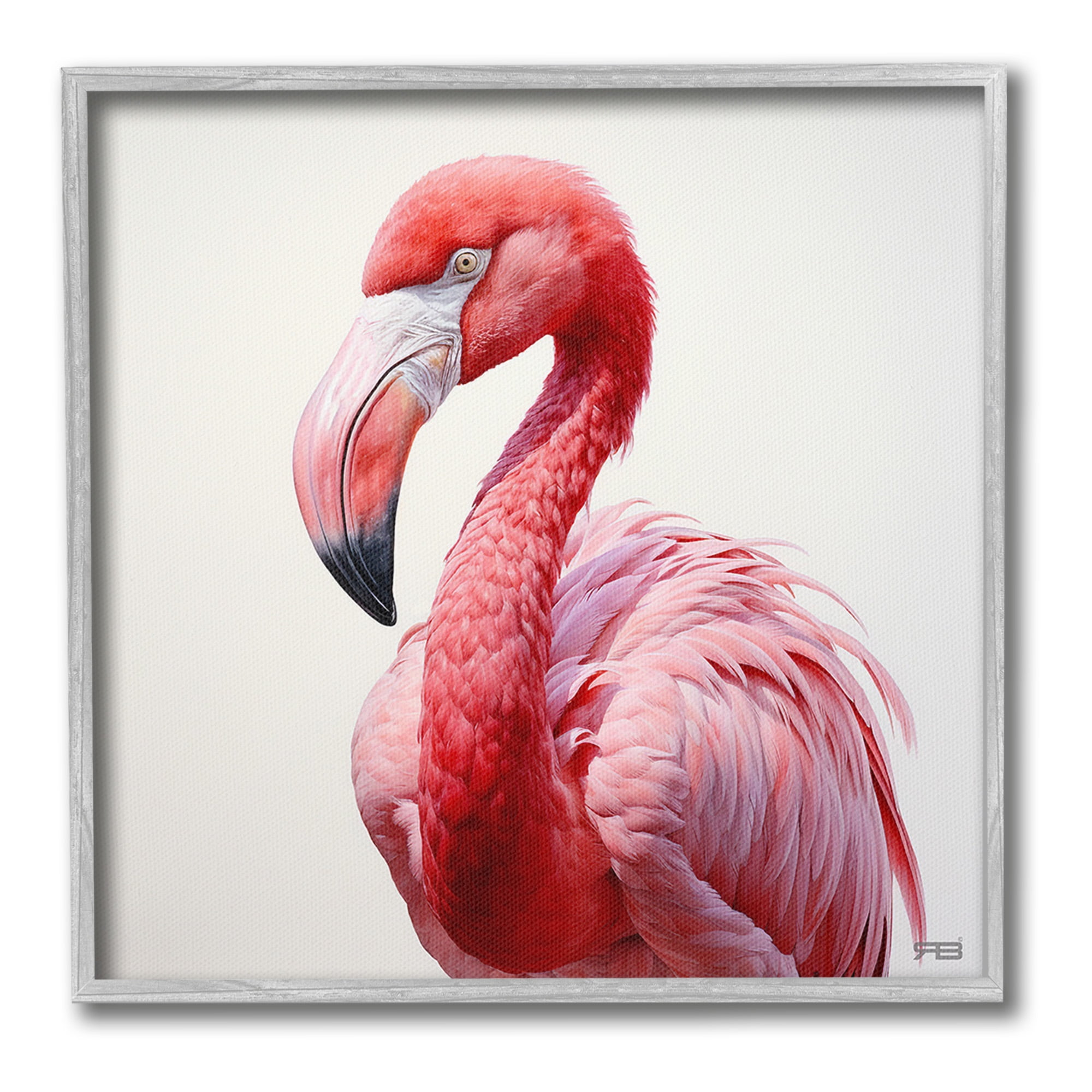 Stupell Industries Traditional Flamingo Portrait Animals & Insects Painting Gray Framed Art Print Wall Art, 17 x 17