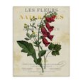 thumbnail image 1 of Stupell Industries Traditional Flower over Aged French Page Canvas Art, 30 x 40, by Susan Arnot, 1 of 7