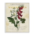 thumbnail image 1 of Stupell Industries Traditional Flower over Aged French Page White Framed Giclee Art, 16 x 20, by Susan Arnot, 1 of 7