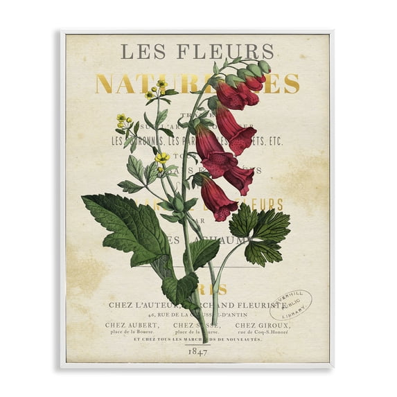 Stupell Industries Traditional Flower over Aged French Page White Framed Giclee Art, 16 x 20, by Susan Arnot