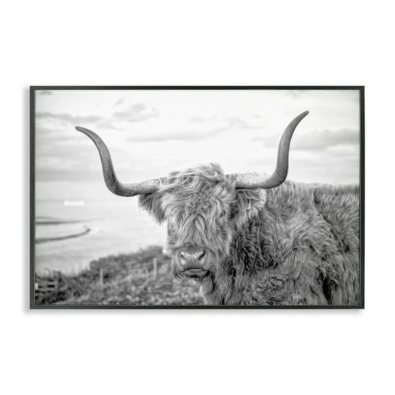 Stupell Industries Traditional Fuzzy Cattle Animals & Insects Photography Black Framed Art Print Wall Art, 18 x 12