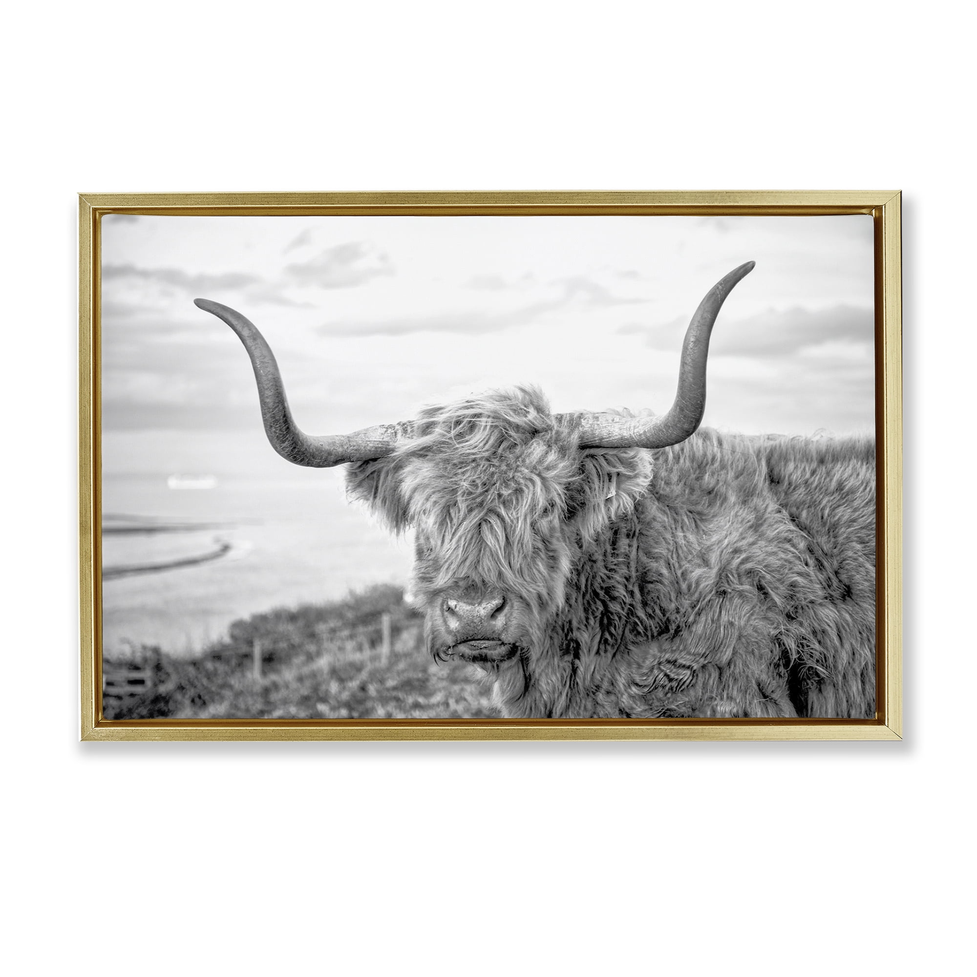 Stupell Industries Traditional Fuzzy Cattle Animals & Insects Photography Gold Floater Framed Canvas Art Print Wall Art, 31 x 21
