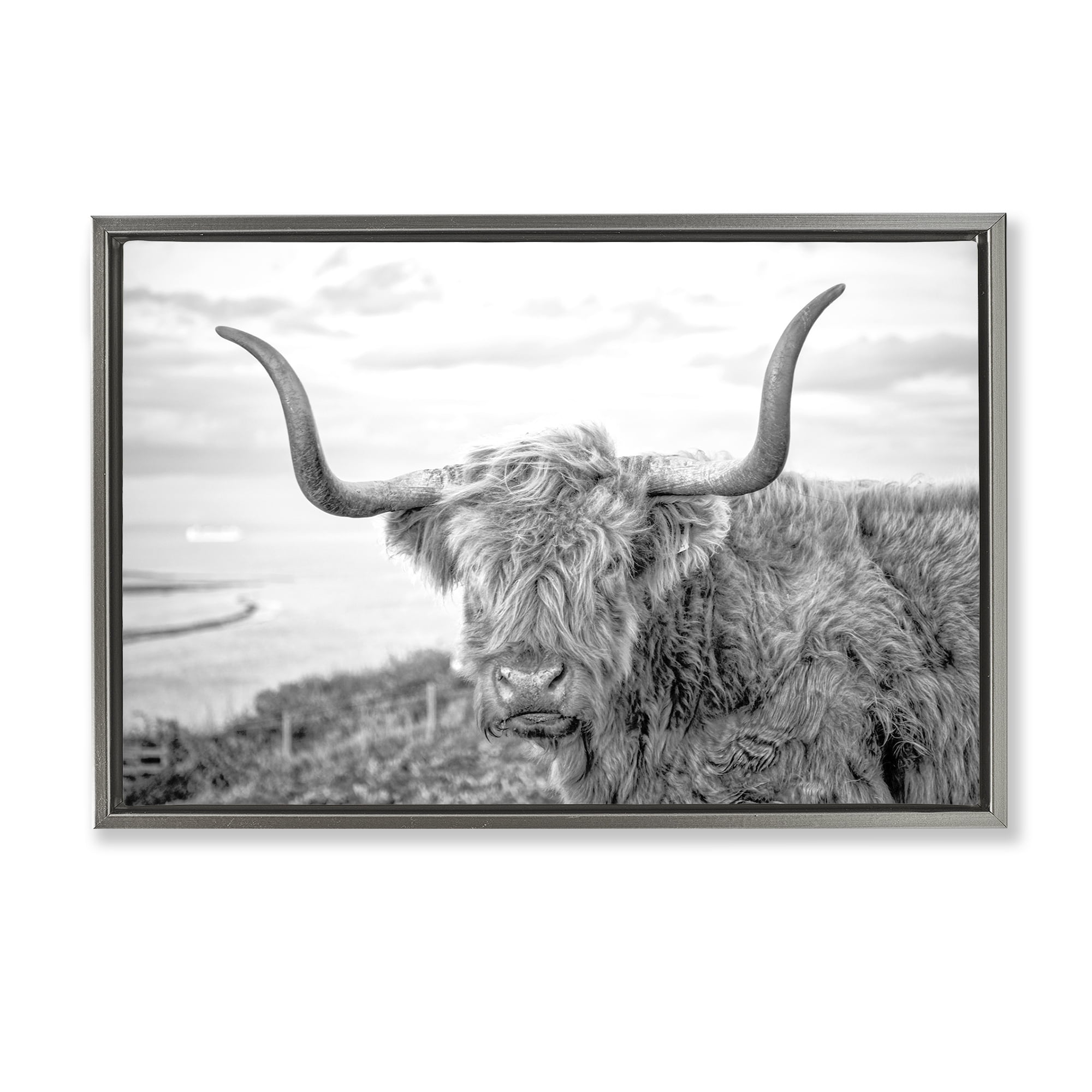 Stupell Industries Traditional Fuzzy Cattle Animals & Insects Photography Gray Floater Framed Canvas Art Print Wall Art, 25 x 17