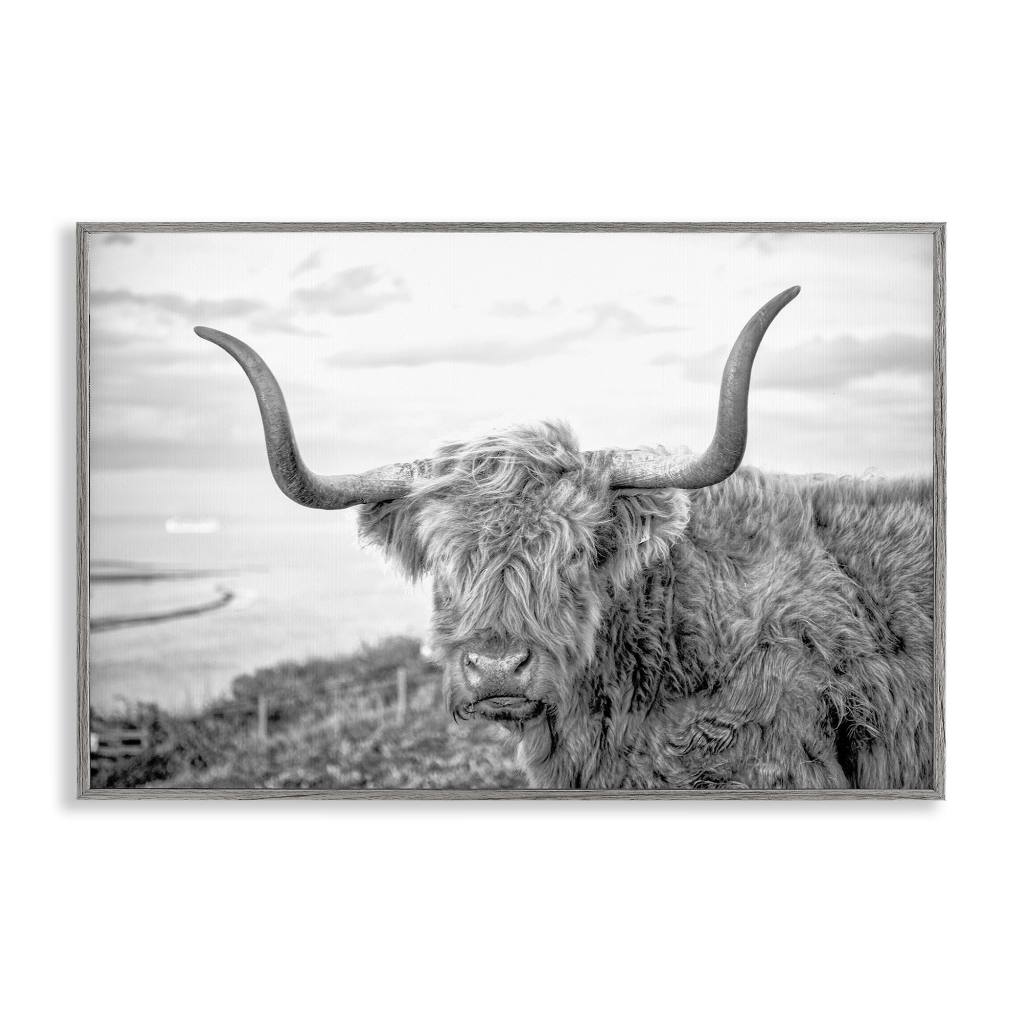 Stupell Industries Traditional Fuzzy Cattle Animals & Insects Photography Gray Framed Art Print Wall Art, 18 x 12