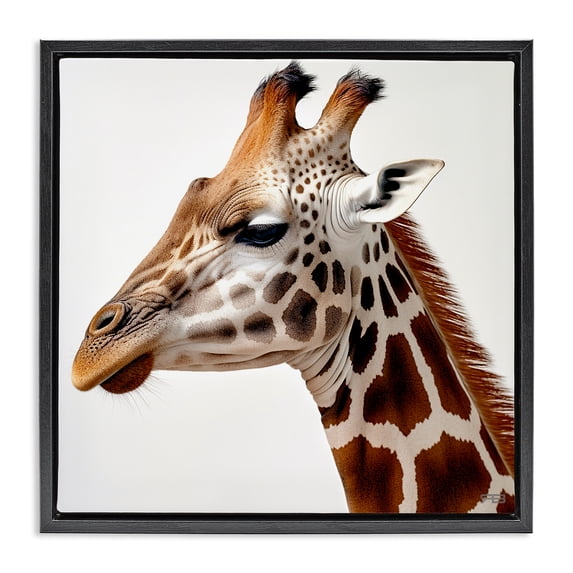 Stupell Industries Transitional Traditional Giraffe Portrait Black Floating Frame Canvas Art, 18 x 18, by RB