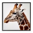 thumbnail image 1 of Stupell Industries Transitional Traditional Giraffe Portrait Black Framed Giclee Art, 12 x 12, by RB, 1 of 8