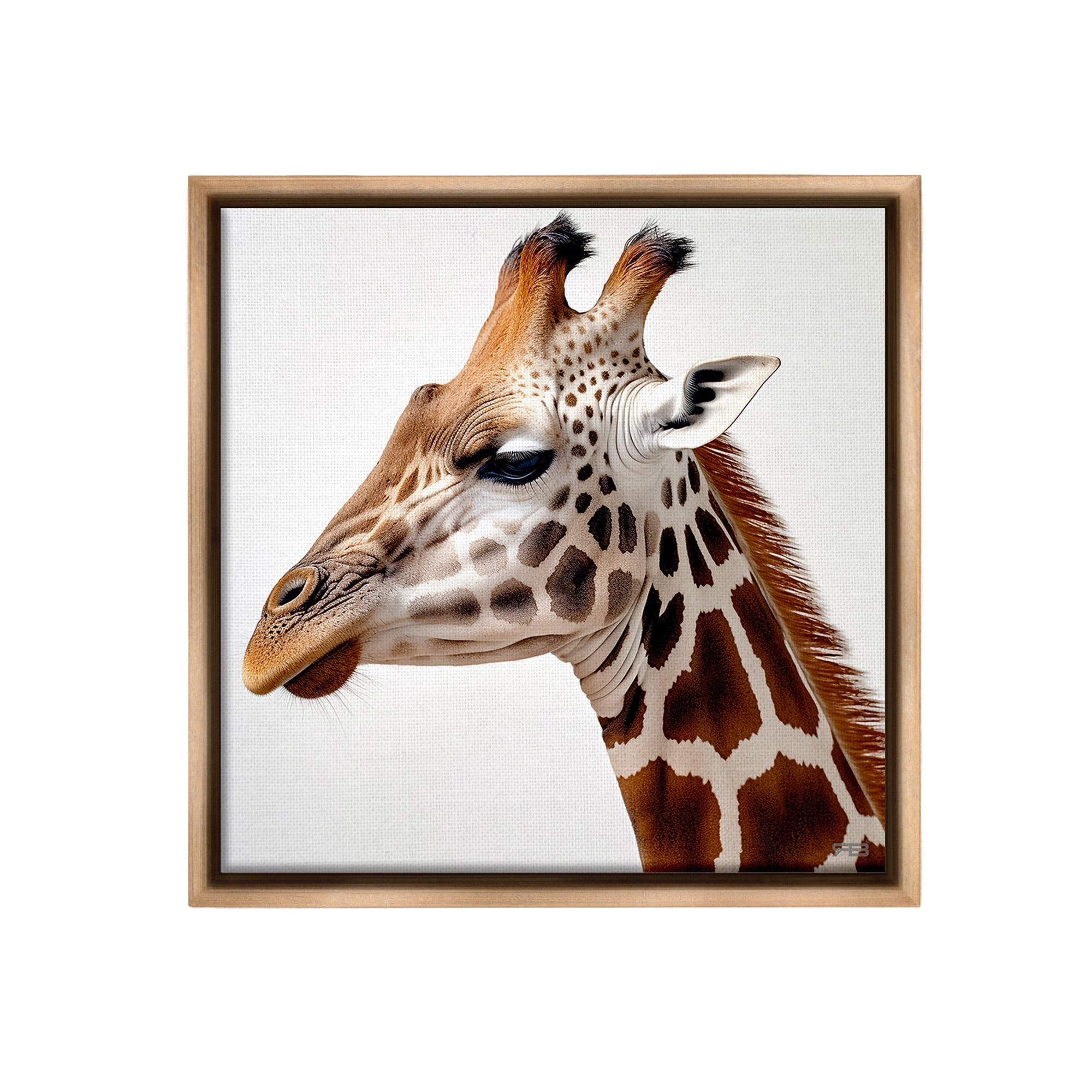 Stupell Industries Traditional Giraffe Portrait Animals & Insects Painting Brown Floater Framed Canvas Art Print Wall Art, 25 x 25