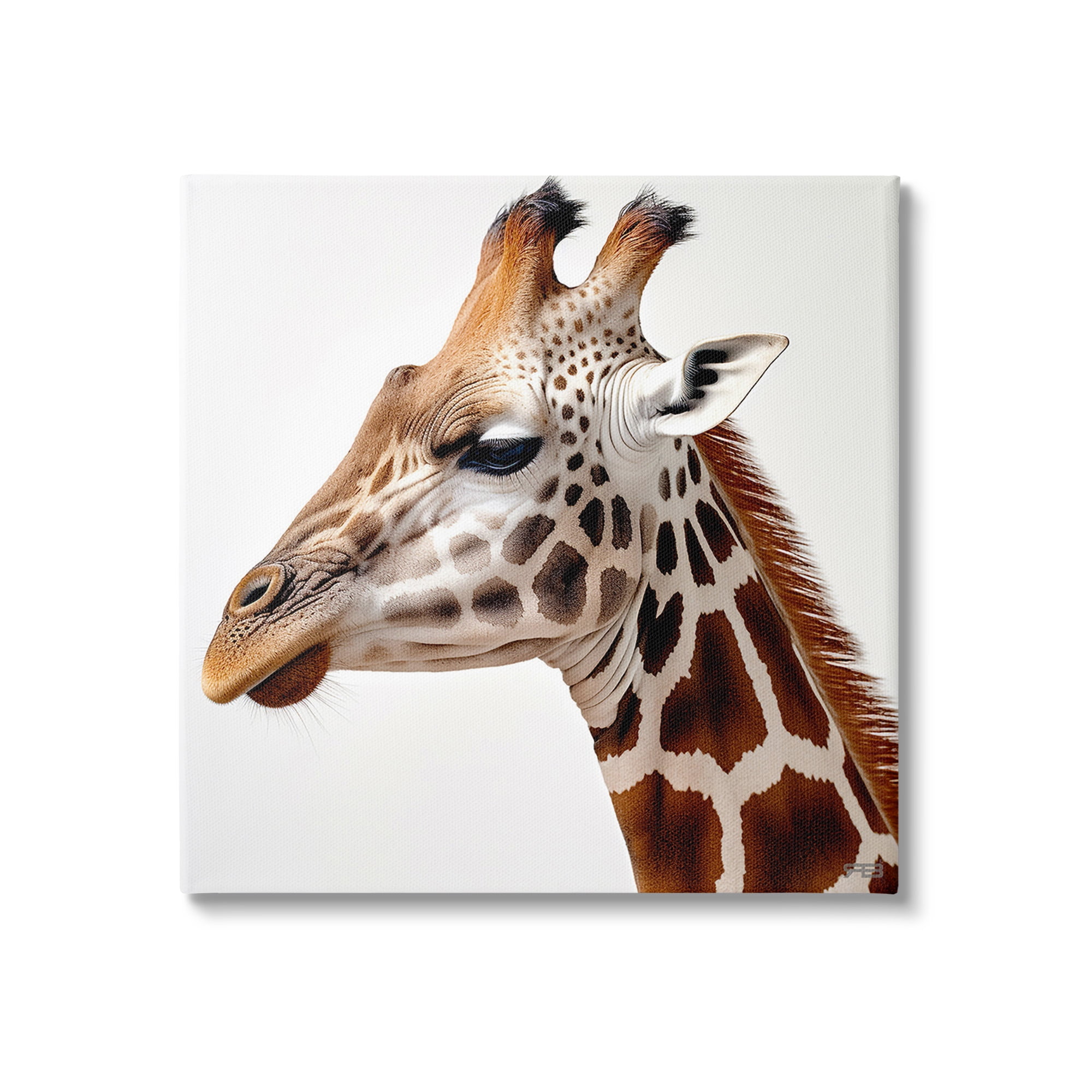 Stupell Industries Traditional Giraffe Portrait Animals & Insects Painting Gallery Wrapped Canvas Art Print Wall Art, 24 x 24