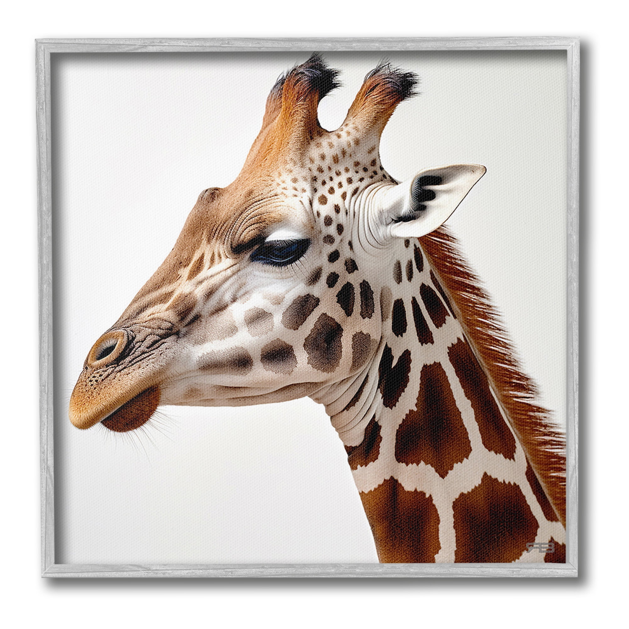 Stupell Industries Traditional Giraffe Portrait Animals & Insects Painting Gray Framed Art Print Wall Art, 12 x 12