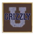 thumbnail image 1 of Stupell Industries Traditional Gold Floating Frame Canvas Art, 25 x 25, by Spirit Animals/Life Is High, 1 of 8
