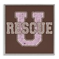 thumbnail image 1 of Stupell Industries Traditional Gray Framed Giclee Art, 12 x 12, by Spirit Animals/Life Is High, 1 of 8