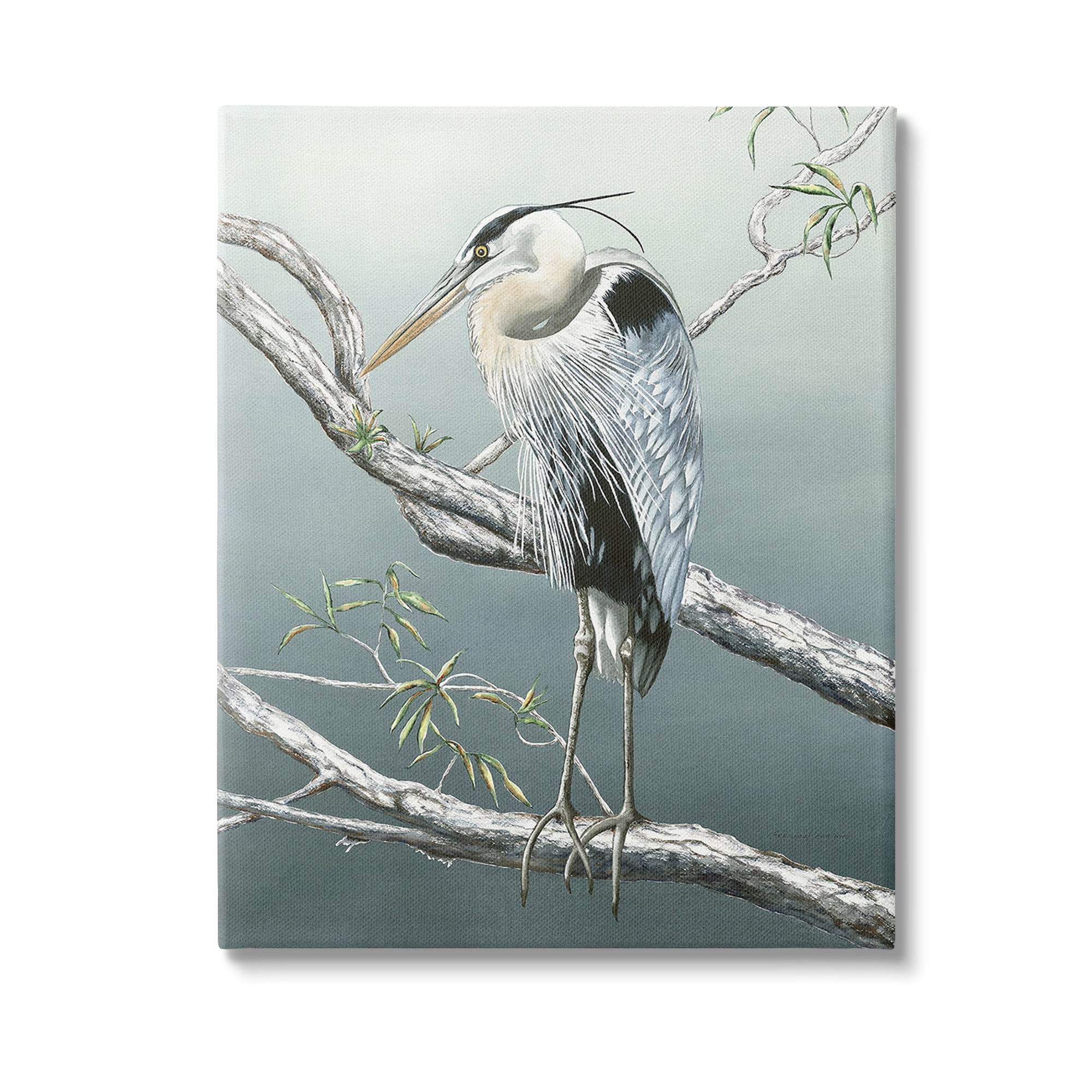 Stupell Industries Traditional Heron on Branch Animals & Insects Painting Gallery Wrapped Canvas Art Print Wall Art, 36 x 48