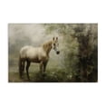 thumbnail image 1 of Stupell Industries Traditional Horse in Forest Woods Canvas Art, 24 x 16, by Petals Prints Design, 1 of 8