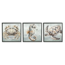 Stupell Industries Traditional Marine Life Animals & Insects Painting Black Framed Art Print Wall Art, 12 x 12, Set of 3