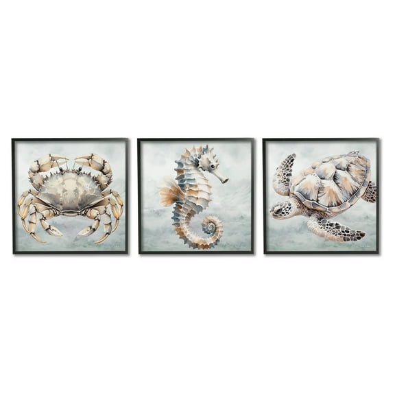Stupell Industries Traditional Marine Life Animals & Insects Painting Black Framed Art Print Wall Art, 12 x 12, Set of 3