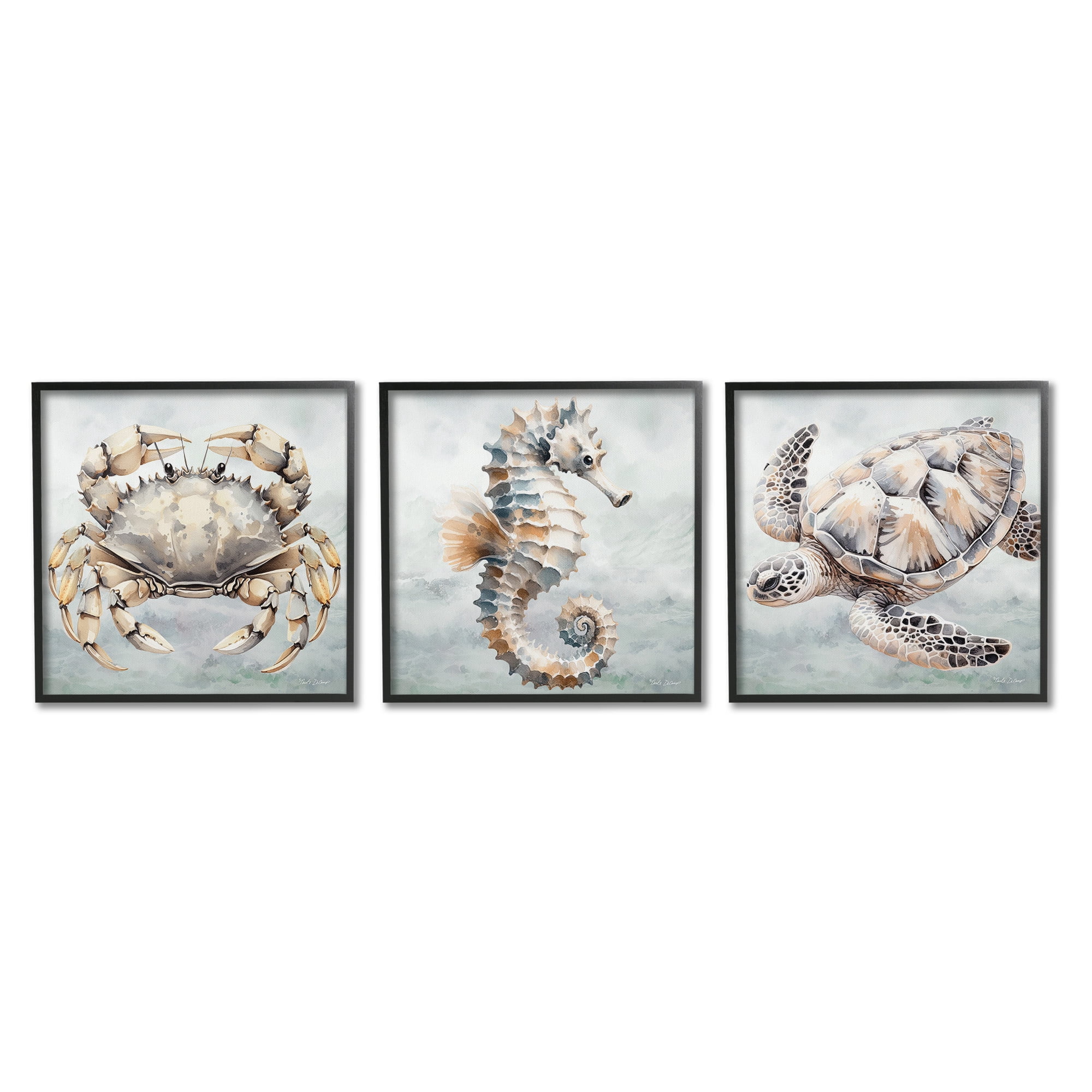 Stupell Industries Traditional Marine Life Animals & Insects Painting Black Framed Art Print Wall Art, 17 x 17, Set of 3