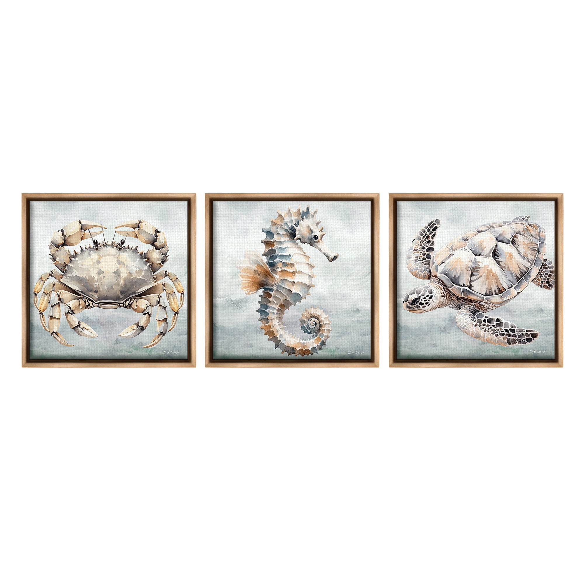 Stupell Industries Traditional Marine Life Animals & Insects Painting Brown Floater Framed Canvas Art Print Wall Art, 25 x 25, Set of 3