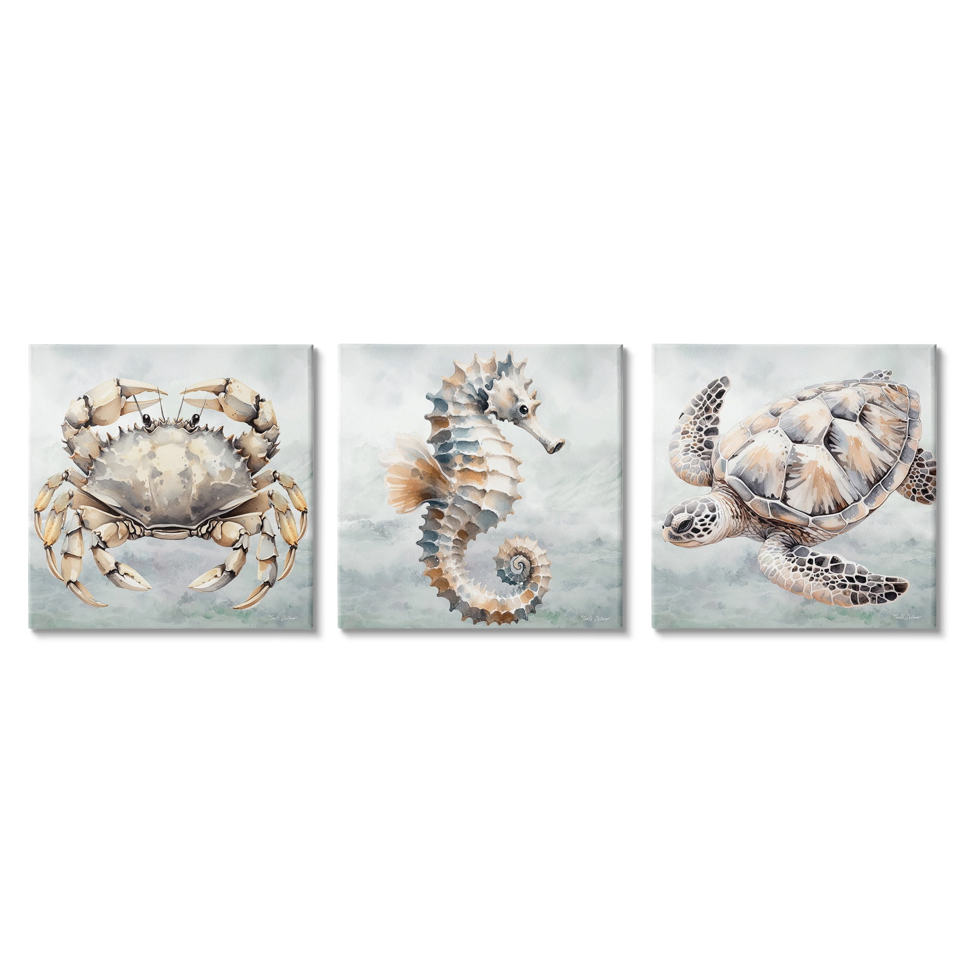 Stupell Industries Traditional Marine Life Animals & Insects Painting Gallery Wrapped Canvas Art Print Wall Art, 17 x 17, Set of 3