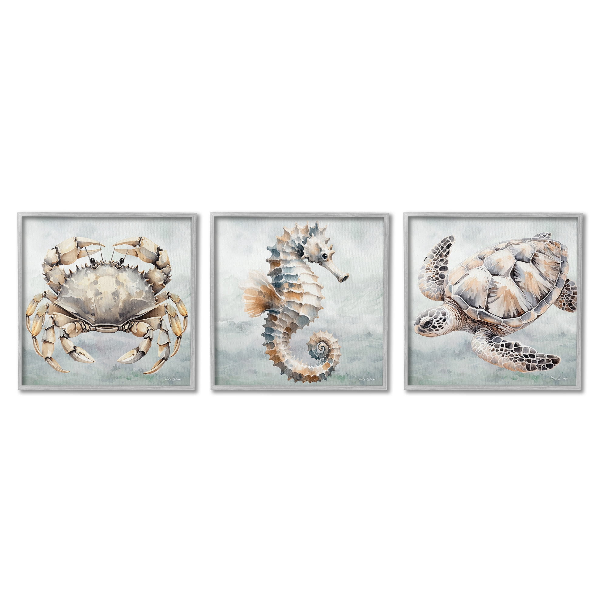Stupell Industries Traditional Marine Life Animals & Insects Painting Gray Framed Art Print Wall Art, 12 x 12, Set of 3