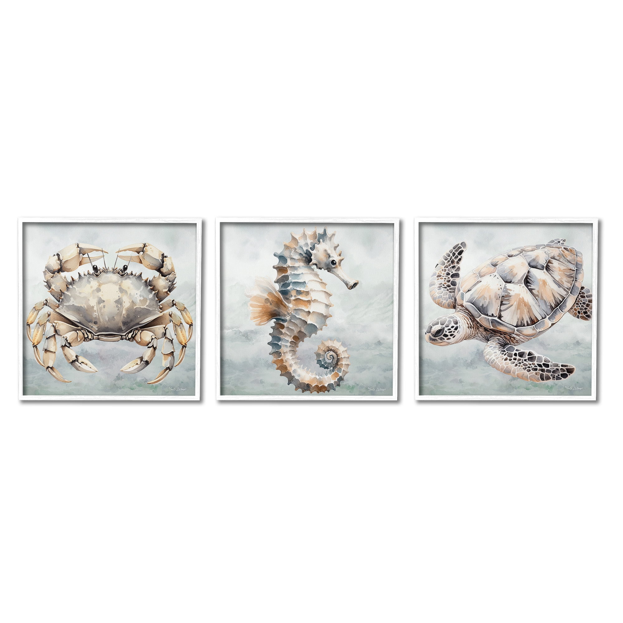 Stupell Industries Traditional Marine Life Animals & Insects Painting White Framed Art Print Wall Art, 12 x 12, Set of 3