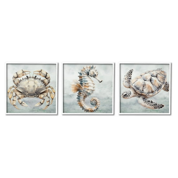 Stupell Industries Traditional Marine Life Animals & Insects Painting White Framed Art Print Wall Art, 17 x 17, Set of 3