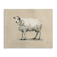 thumbnail image 1 of Stupell Industries Traditional Minimal Sheep Animals & Insects Painting Gallery Wrapped Canvas Art Print Wall Art, 20 x 16, 1 of 8