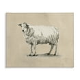 thumbnail image 1 of Stupell Industries Traditional Minimal Sheep Animals & Insects Painting Gallery Wrapped Canvas Art Print Wall Art, 40 x 30, 1 of 8