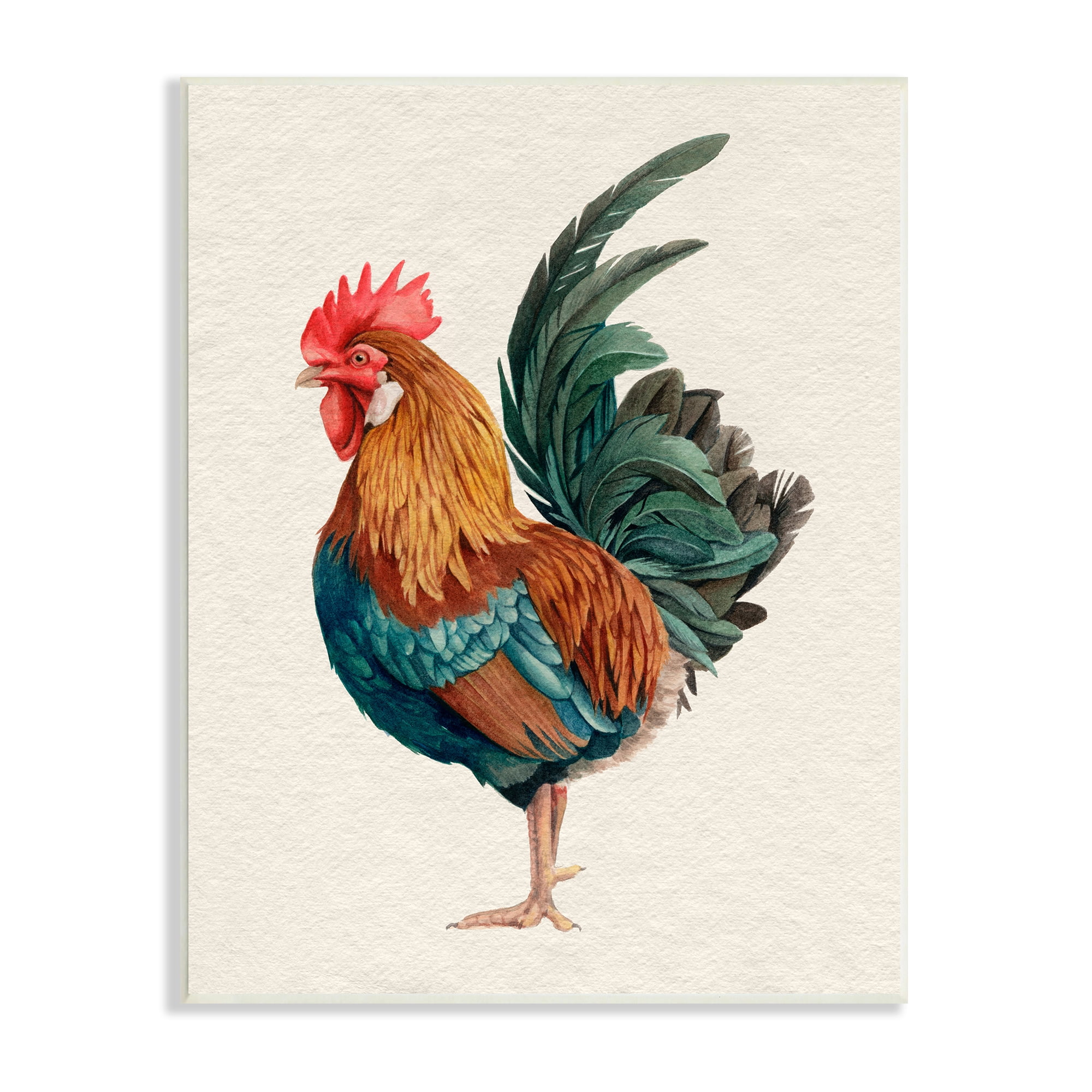 Stupell Industries Traditional Morning Rooster Illustration Elegant Bird Feathers, 10 x 15, Design by Grace Popp&nbsp;