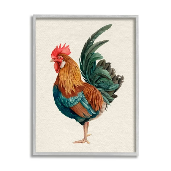 Stupell Industries Traditional Morning Rooster Illustration Elegant Bird Feathers, 11 x 14, Design by Grace Popp 
