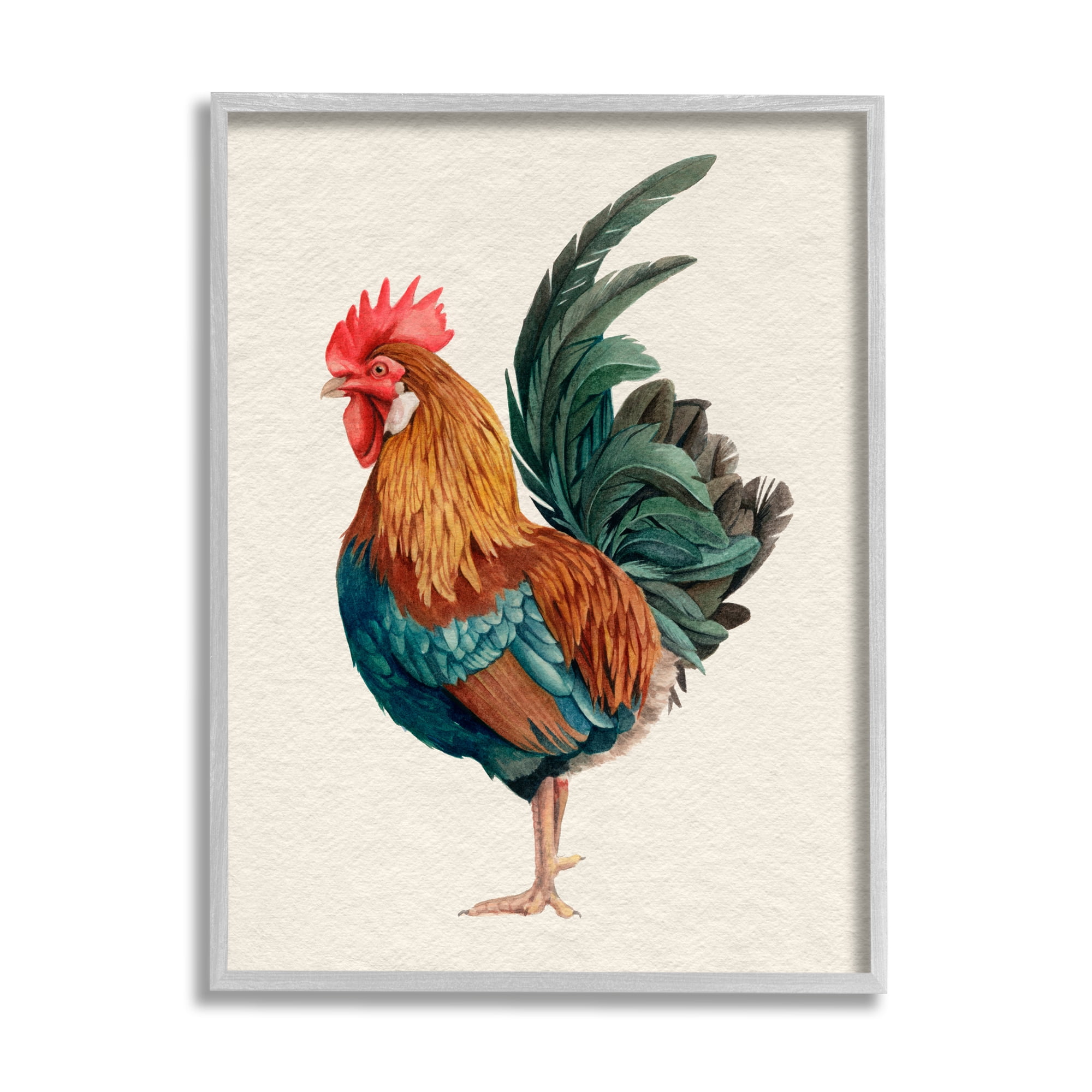 Stupell Industries Traditional Morning Rooster Illustration Elegant Bird Feathers, 16 x 20, Design by Grace Popp&nbsp;