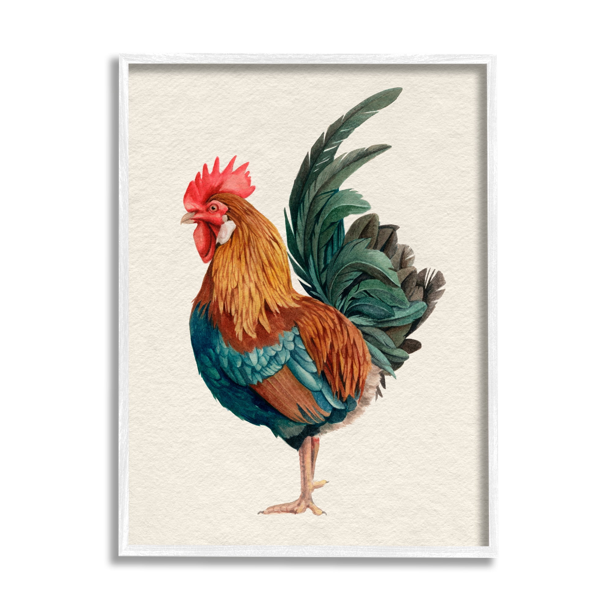 Stupell Industries Traditional Morning Rooster Illustration Elegant Bird Feathers, 16 x 20, Design by Grace Popp&nbsp;