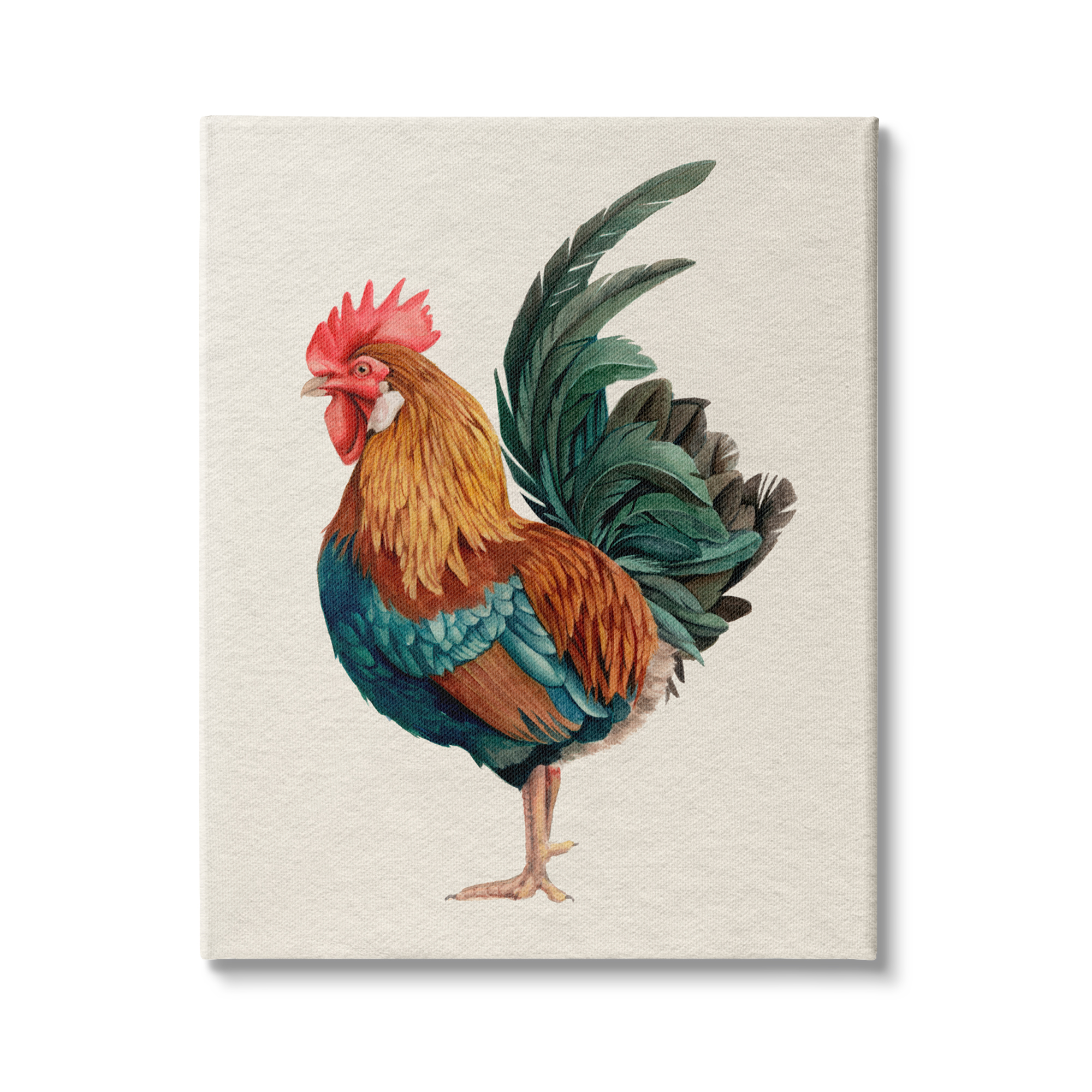 Stupell Industries Traditional Morning Rooster Illustration Elegant Bird Feathers, 30 x 40, Design by Grace Popp&nbsp;
