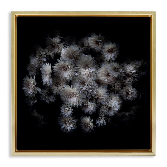 Stupell Industries Traditional Mum Bundle on Black Gold Floating Frame Canvas Art, 18 x 18, by Brian Carson