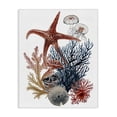 thumbnail image 1 of Stupell Industries Traditional Natural Aquatic Sea Creatures Canvas Art, 16 x 20, by Ramona Murdock, 1 of 7