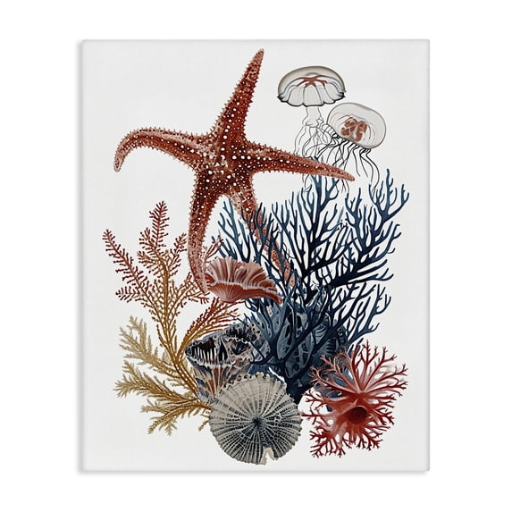 Stupell Industries Traditional Natural Aquatic Sea Creatures Canvas Art, 16 x 20, by Ramona Murdock