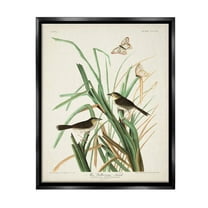 Stupell Industries Traditional Nature Study Animals & Insects Painting Black Floater Framed Canvas Art Print Wall Art, 17 x 21