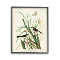 Stupell Industries Traditional Nature Study Animals & Insects Painting Black Framed Art Print Wall Art, 11 x 14