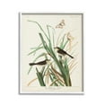 thumbnail image 1 of Stupell Industries Traditional Nature Study Animals & Insects Painting White Framed Art Print Wall Art, 16 x 20, 1 of 9