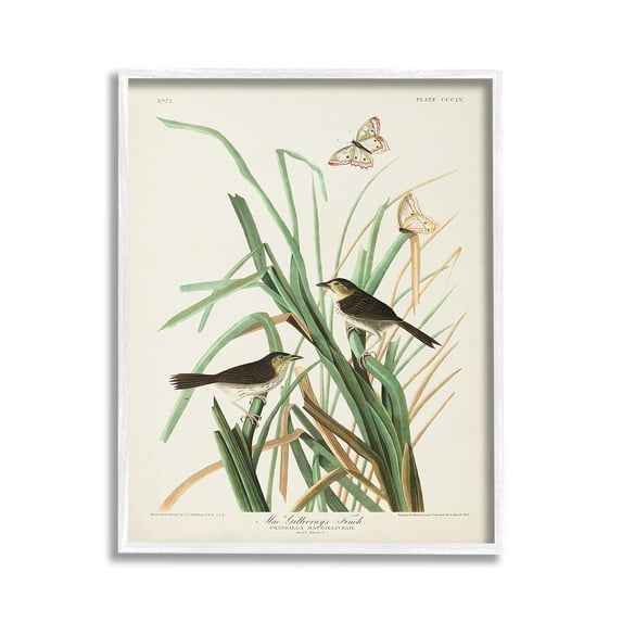 Stupell Industries Traditional Nature Study Animals & Insects Painting White Framed Art Print Wall Art, 24 x 30