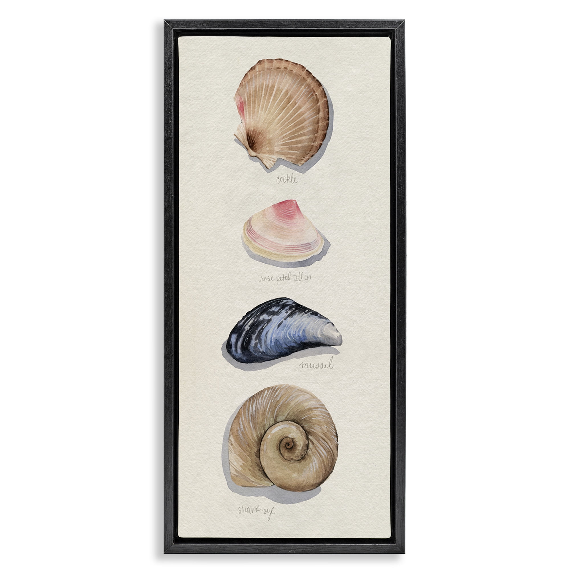 Stupell Industries Traditional Nautical Sea Shells Nature Painting Black Floater Framed Canvas Art Print Wall Art, 15 x 31
