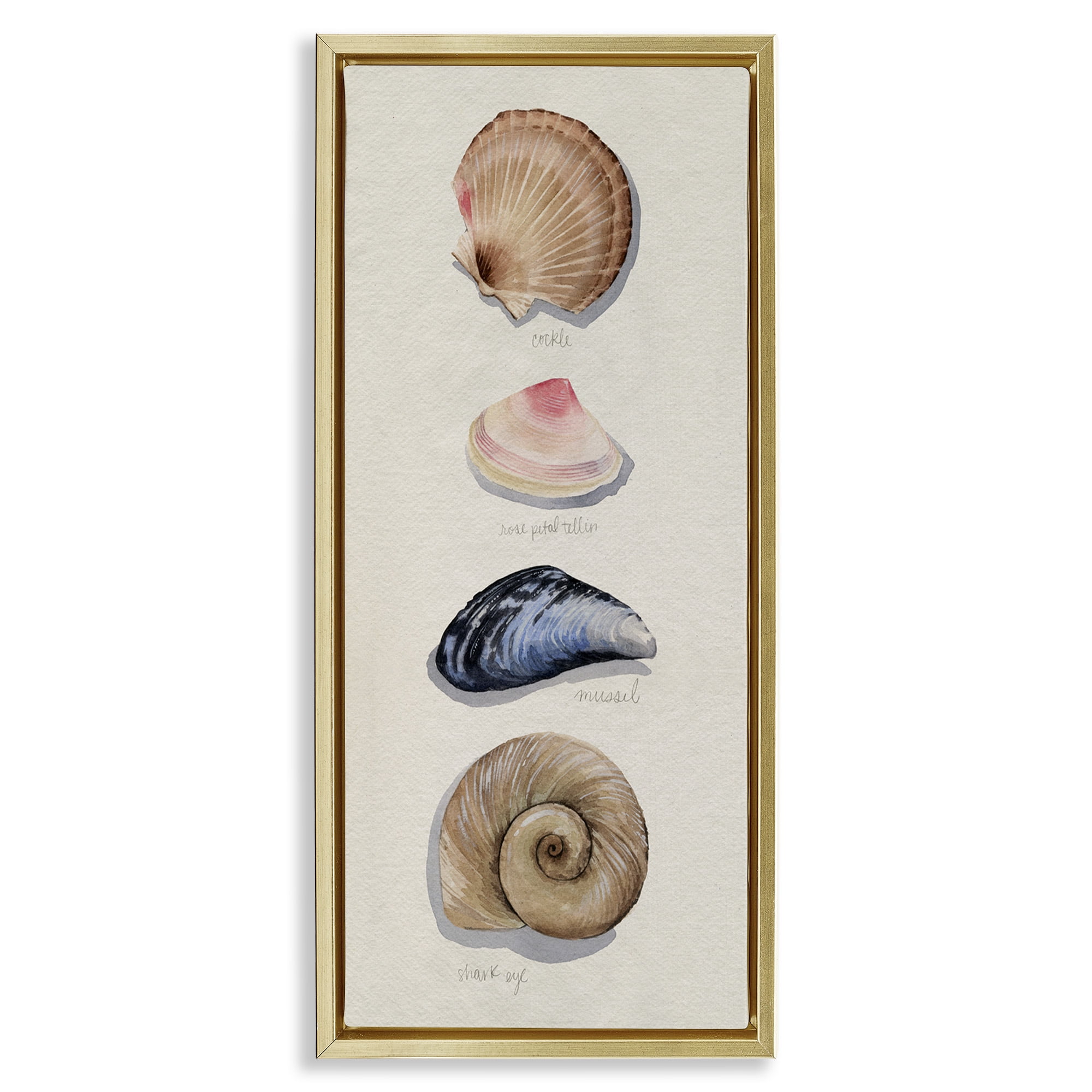 Stupell Industries Traditional Nautical Sea Shells Nature Painting Gold Floater Framed Canvas Art Print Wall Art, 11 x 25