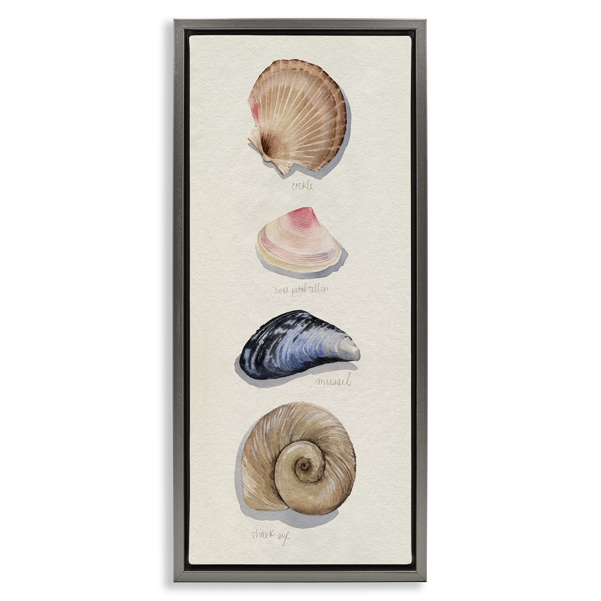 Stupell Industries Traditional Nautical Sea Shells Nature Painting Gray Floater Framed Canvas Art Print Wall Art, 15 x 31