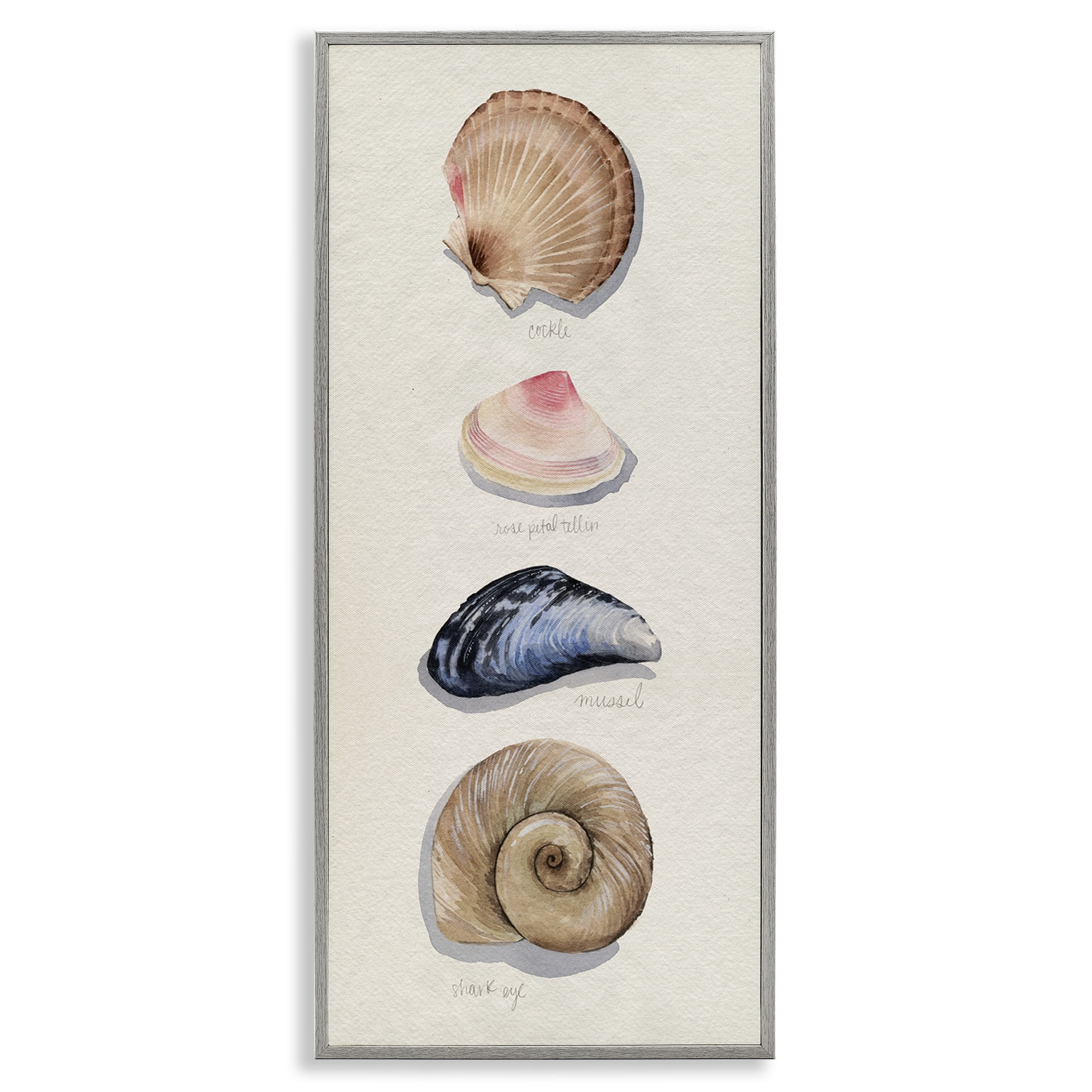 Stupell Industries Traditional Nautical Sea Shells Nature Painting Gray Framed Art Print Wall Art, 13 x 30