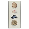 thumbnail image 1 of Stupell Industries Traditional Nautical Sea Shells Nature Painting Gray Framed Art Print Wall Art, 13 x 30, 1 of 9