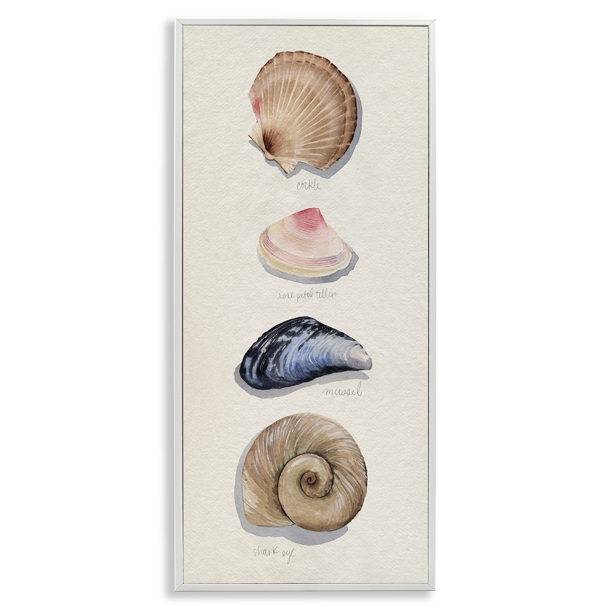 Stupell Industries Traditional Nautical Sea Shells Nature Painting White Framed Art Print Wall Art, 13 x 30