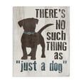 thumbnail image 1 of Stupell Industries Traditional Not Just a Dog Phrase Canvas Art, 16 x 20, by Gigi Louise, 1 of 7