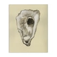 thumbnail image 1 of Stupell Industries Traditional Oyster Sea Creature Canvas Art, 16 x 20, by Michael Willett, 1 of 8