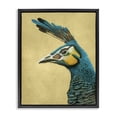 thumbnail image 1 of Stupell Industries Traditional Peacock Looking Left Black Floating Frame Canvas Art, 17 x 21, by Katie O'Shea, 1 of 8