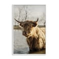 thumbnail image 1 of Stupell Industries Traditional Peering Cattle in Water White Framed Giclee Art, 12 x 18, by Dakota Diener, 1 of 8